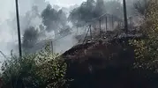 Milas-Söke yolunda korkutan alevler: Ekipler felaketi önledi