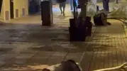 Eskişehir'in en işlek caddesinde gece yarısı şaşkına çeviren anlar