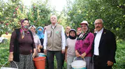 Denizli'nin elma deposu Çivril'de yüzler gülüyor: Rekolte ikiye katlanıyor