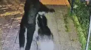 Reyhanlı'da hırsızların hedefi değişmedi: Aynı evden ikinci kez motosiklet çalındı