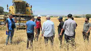 Dicleli çiftçilere büyük destek: Mercimek üretiminde dev hibe dönemi başlıyor