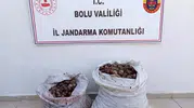 Doğadan izinsiz topladıkları 60 kilo salyangoz başlarına dert oldu