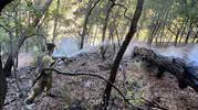 Dalaman'da geceyi aydınlatan alevlerle zorlu mücadele