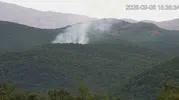 Bingöl'de korkutan alevler havadan ve karadan müdahale ile durduruldu