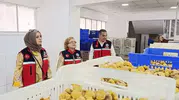 Dünya sofralarının vazgeçilmezi Aydın incirinde tavizsiz denetim dönemi