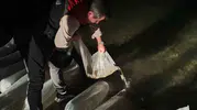 Erzurum'un göletleri yeni sakinlerine kavuştu: 340 bin sazan doğaya bırakıldı