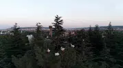 Eskişehir semalarında beklenmedik misafirler: Göç yolculuğunda dron ile görüntülendiler