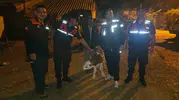 Okluca köyünde duygulandıran kurtarma: Kayıp hayvan tarlada yavrusuyla bulundu