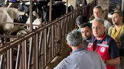 Hatay hayvancılığında yeni dönem: Hastalıktan ari işletmeler için kritik hamle