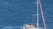 Bodrum açıklarında yelkenli operasyonu: Market alışverişi yaparken yakayı ele verdiler