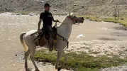 Yüksekova'nın sarp zirvelerinde alışılmadık bir yolculuk: Yarış atlarıyla bulutlara tırmandılar