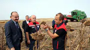 Edirne'de ayçiçeği tarlalarında kuraklığa karşı bilimsel seferberlik: Hasat sonuçları umut veriyor