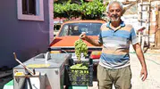 Elmalı'da bağ bozumu artık zahmetsiz: Üreticinin imdadına belediye yetişti