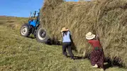 Ardahan'da kışın ayak sesleri duyulurken tarlalarda zamanla yarış başladı