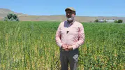 Kocasinan'da Toprağın Bereketi Sofralara Umut Oluyor: Belediye Kendi Ürettiği Yağı İhtiyaç Sahiplerine Dağıtıyor