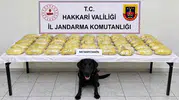 Sınır hattında zehir tacirlerine ağır darbe: Tırın gizli bölmelerinden çıktı