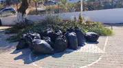 Bodrum'da hummalı temizlik: Okullar açılmadan yeşil alanlar baştan aşağı yenileniyor