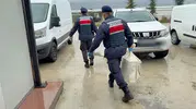 Bolu'daki kooperatif operasyonunda flaş gelişme: 3 isim serbest kaldı