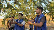 Adıyamanlı gençler tarlaya indi: Badem hasadında imece ruhu canlandı