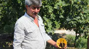 Muğla’da bahçeler kimyasallara veda ediyor: Doğal yöntemle rekolte artışı