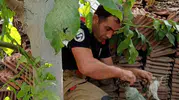 İskenderun'da nefes kesen kurtarma operasyonu: Boru hattında sıkışan minik cana yardım eli