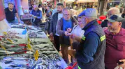 Karadeniz'de palamut bereketi: Fiyatlar düştü, tezgahlar doldu taştı
