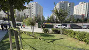 Parkta dehşet anları: Alacak verecek kavgası kanlı bitti