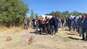 Genç kadının acı dolu vedası: Memleketinde gözyaşlarıyla toprağa verildi