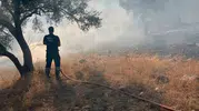 Zeytinlikleri tehdit eden alevlere havadan ve karadan kuşatma