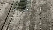 Burhaniye'de minarelerin yeni sakinleri kargalar oldu: Temizlik için zirveye çıktılar