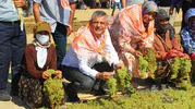 Özgür Özel'in çocukluk anılarının izinde Manisa çıkarması: Bağlar sökülürse bir daha üzüm bulamayız