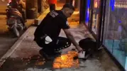 Samandağ'da vicdanları sızlatan olay: Polis ekipleri yaralı köpeği yalnız bırakmadı
