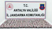 Valizinden zehir çıktı: Manavgat'ta uyuşturucu tacirine geçit yok