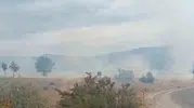 Bolu'da korkutan yangın: Alevler santralin kapısına dayandı