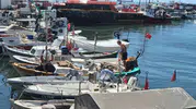 Marmara'da poyraz bereketi durdurdu: Balıkçılar rotayı bakıma çevirdi