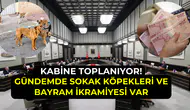 Kabine toplantısında yoğun gündem: Sokak köpekleri ve emekli ikramiyesi görüşülecek