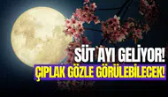 Süt dolunayı nedir, ne zaman? 12 Mayıs’ta geliyor!