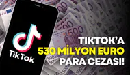 TikTok'a 530 milyon euro ceza: AB veri kurallarını ihlal etti