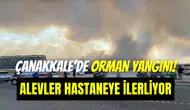 Çanakkale’deki orman yangını devlet hastanesine yaklaştı
