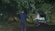 Bartın’da fırtına düğünü vurdu Ağaçlar araçların üzerine devrildi