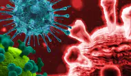 Kongo’da Ebola alarmı 2026: Ölümcül Bundibugyo suşu nedir, aşısı var mı? Türkiye için risk var mı?