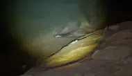 Keban Barajı'nın gece misafiri objektiflere yansıdı