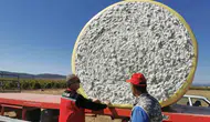 Saruhanlı ovasında beyaz altın bereketi: Hasat sezonu start aldı