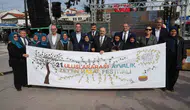Ayvalık’ta Zeytin Hasadı Başladı: Milyonlarca Ağacın Gölgesinde Üreticinin Çığlığı Yükseliyor