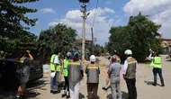 Ege'nin gökyüzünde yeni dönem: Elektrik hatları kuşlar için yeniden tasarlanıyor