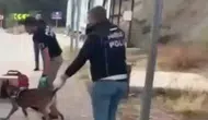 Boyabat'ta zehir tacirlerine geçit yok: Operasyonun bilançosu ağır oldu