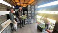 İznik tarlalarında yazın ilk ürünleri için hasat başladı