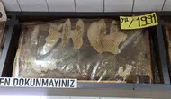 Sivaslı esnafın 35 yıllık balı görenleri şaşırtıyor