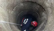 Gönen'de kuyuya düşen koyunu ekipler halatla yukarı çekti