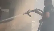 Osmaniye’de kiler yangınından sağ kurtulan kedi ailesi